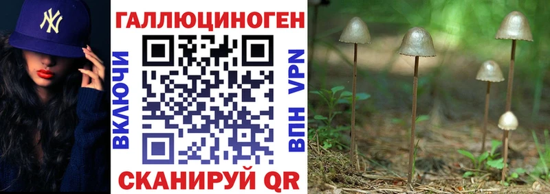 Купить Асбест Псилоцибиновые грибы MAGIC MUSHROOMS